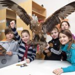 fröhliche Bären halten einen Adler